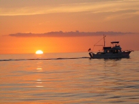 Serving Marco Island and all of Southwest Florida
